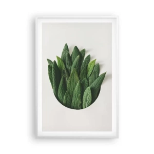 Poszter fekete keretben - Féktelen kíváncsiság - 61x91 cm