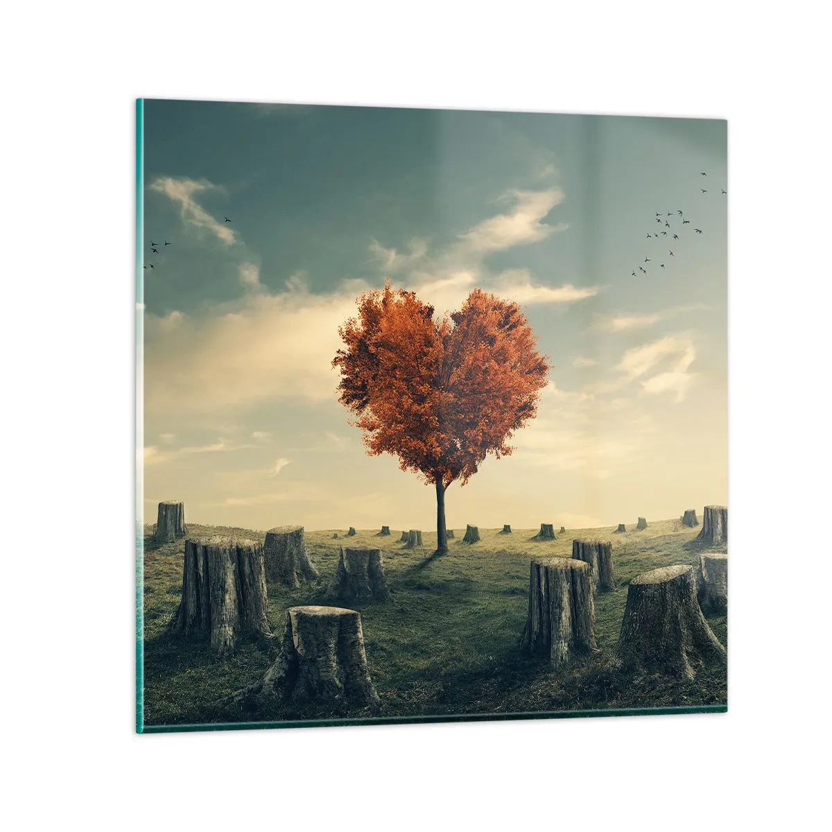 Üveg kép - Még mindig van remény - 50x50 cm