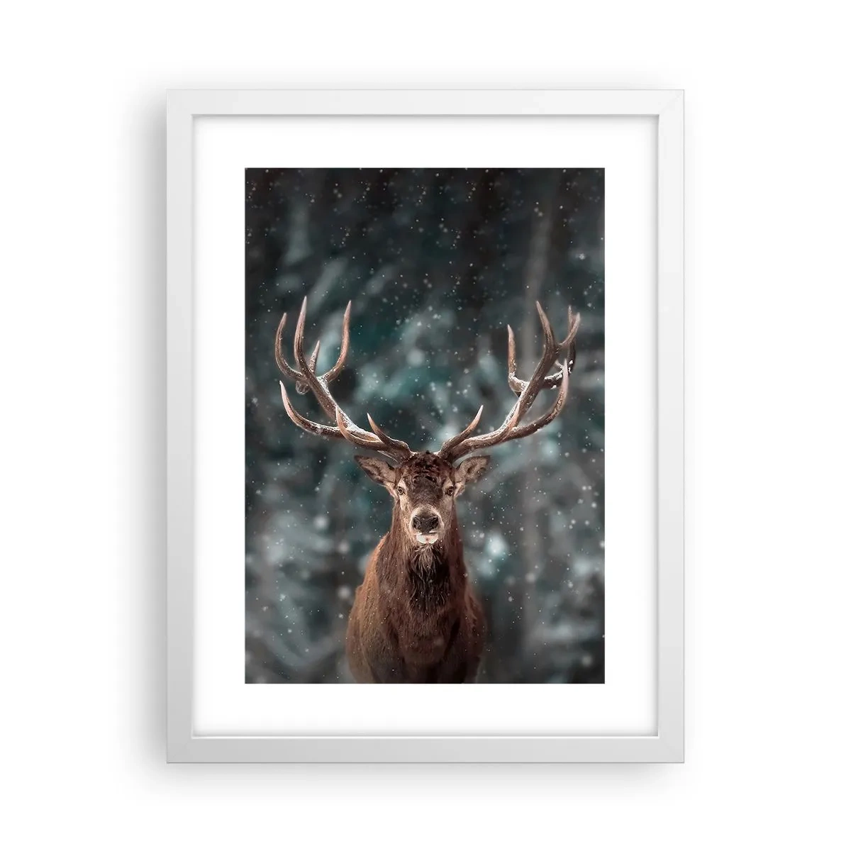 Poszter fekete keretben - Az erdő királya koronázva - 30x40 cm