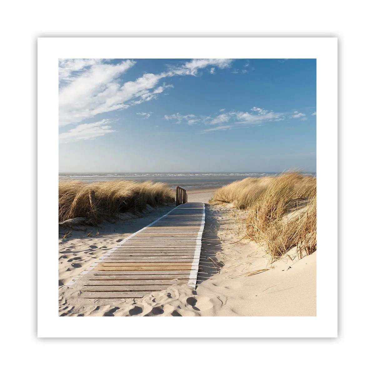 Poszter - A dűne mögött, a fű susogásában - 50x50 cm