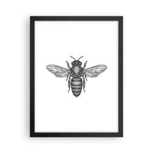Poszter fehér keretben - Rovar portré - 30x40 cm