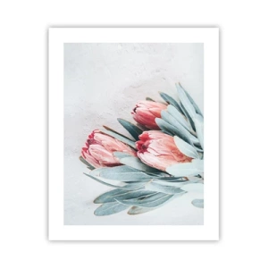 Poszter - Szégyellve saját szépségüket - 40x50 cm