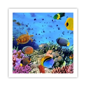 Poszter - És mit tudunk az életről... - 60x60 cm