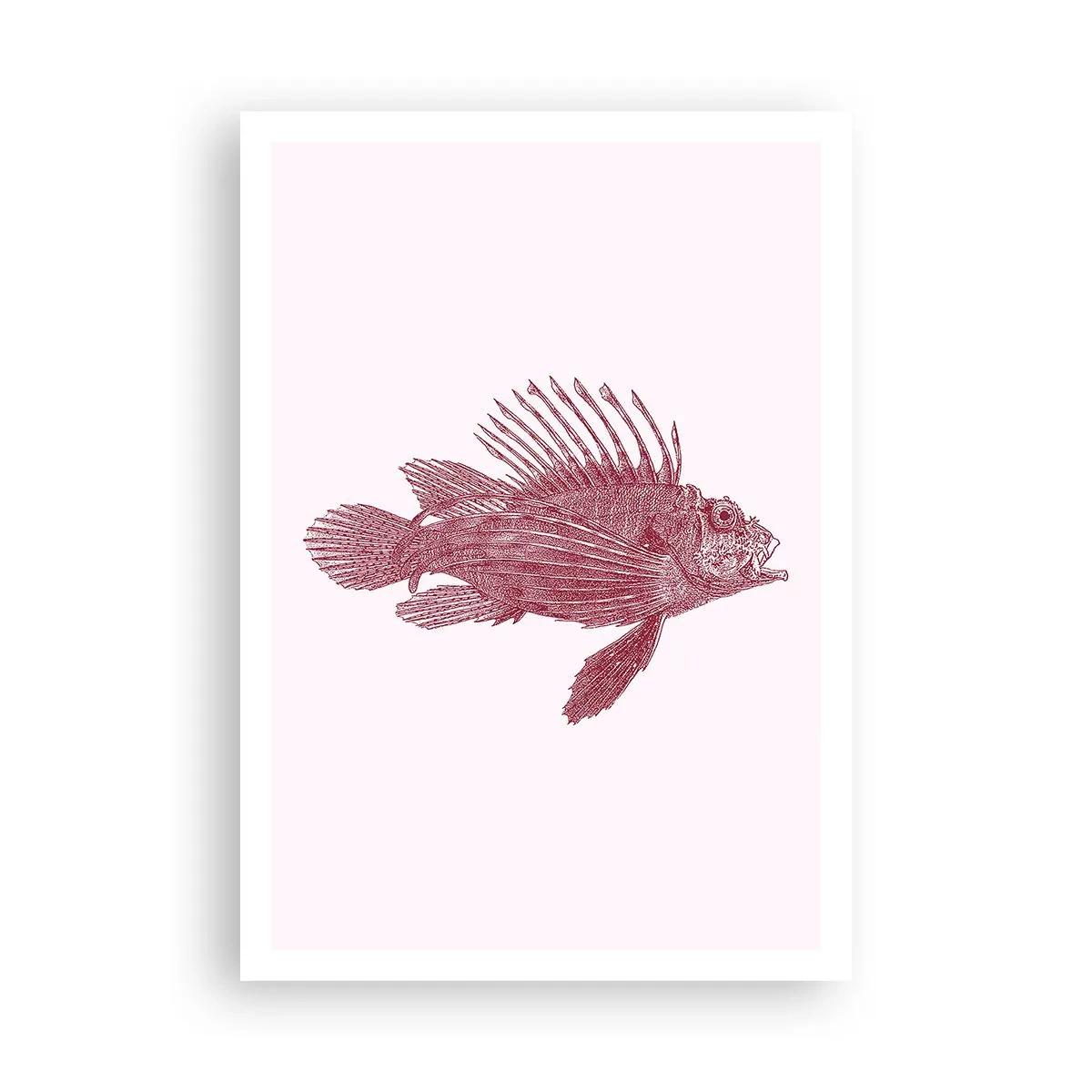 Poszter - Egzotikus vizek lakója - 70x100 cm
