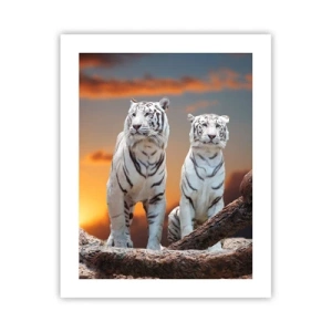 Poszter - Akárcsak Narnia - 40x50 cm