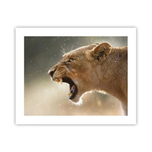 Poszter - Próbálj meg nem hallgatni - 50x40 cm