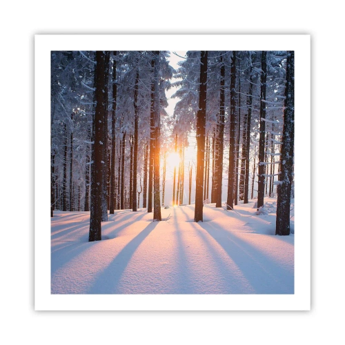 Poszter - Egyértelműen fekete-fehéren - 60x60 cm