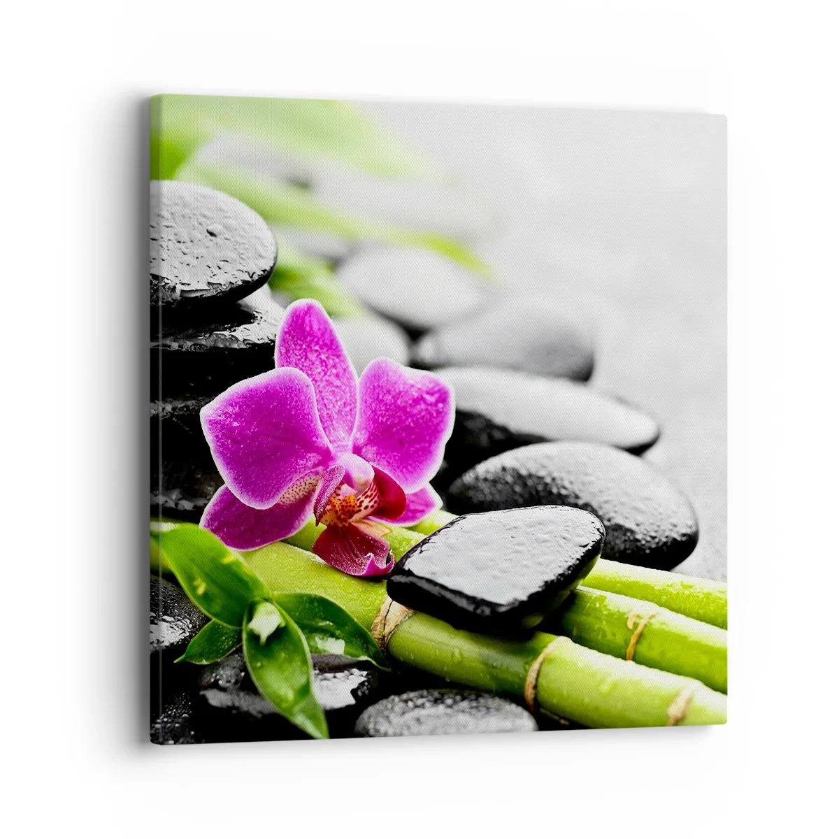 Vászonkép - Nyugodt egyensúlyban - 40x40 cm