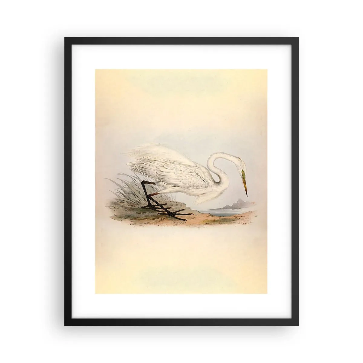 Poszter fehér keretben - Hölgy a nádasban - 40x50 cm