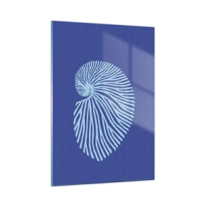 Üveg kép - Egy kagyló születése - 50x70 cm