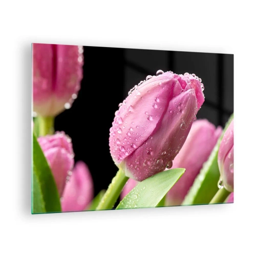 Üveg kép - Rózsaszín tulipánok borított harmatcseppek fekete alapon - 70x50cm - Lila álom a harmatban - Modern fali dekoráció nappalihoz és hálószobához ARTTOR
