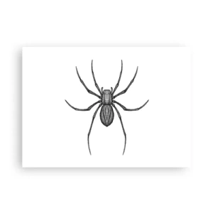 Poszter - Zavaró precizitás - 70x50 cm