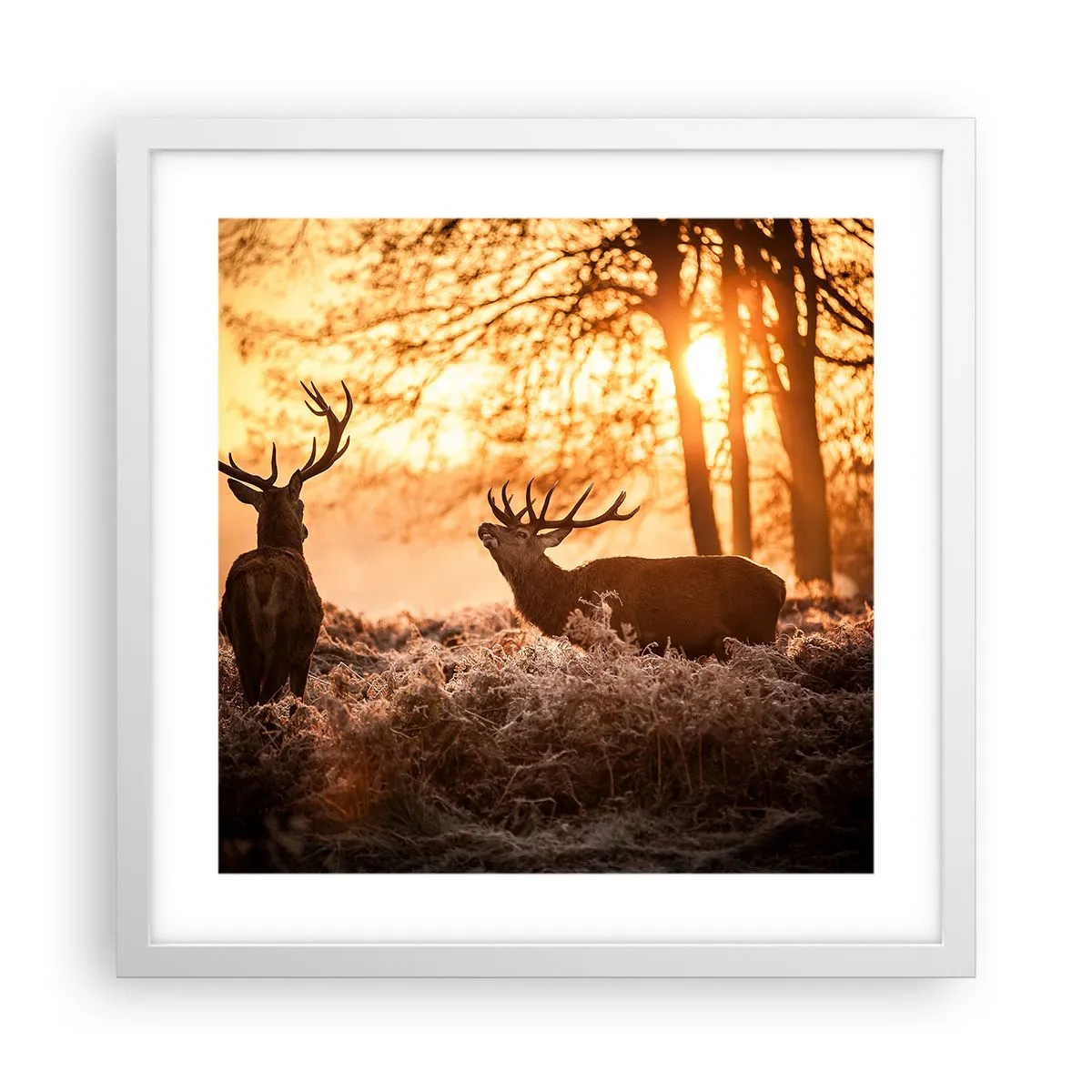 Poszter fekete keretben - Vadász álma - 40x40 cm