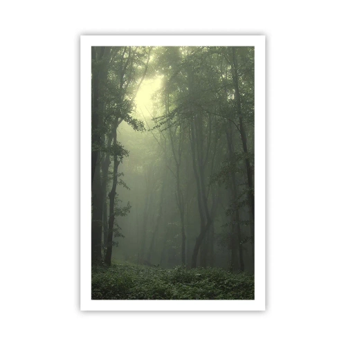 Poszter - Mielőtt felébred - 61x91 cm