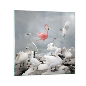 Üveg kép - Hogy kerültem ide? - 70x70 cm