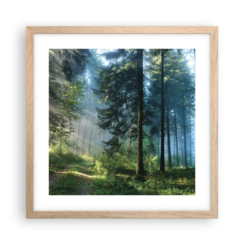 Poszter világos tölgy keretben - Sugárzó reggel - 40x40 cm