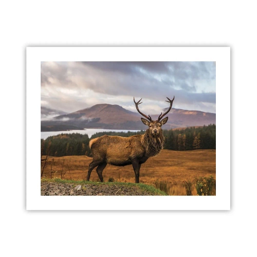 Poszter - A természet fensége - 50x40 cm