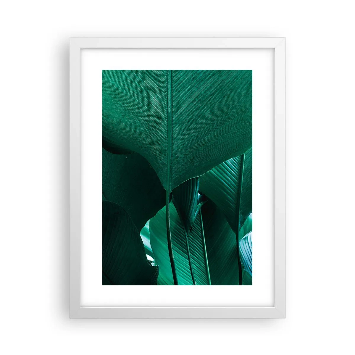 Poszter fekete keretben - A fény felé nézve - 30x40 cm