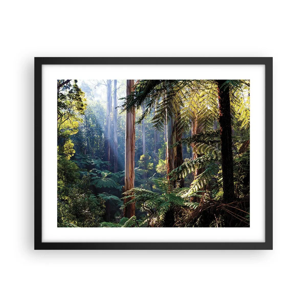 Poszter fehér keretben - Erdei mese - 50x40 cm