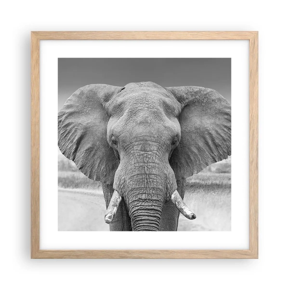 Poszter világos tölgy keretben - Üdv a világomban - 40x40 cm