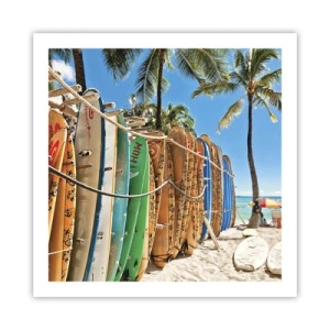 Poszter - Napos mulatság - 60x60 cm