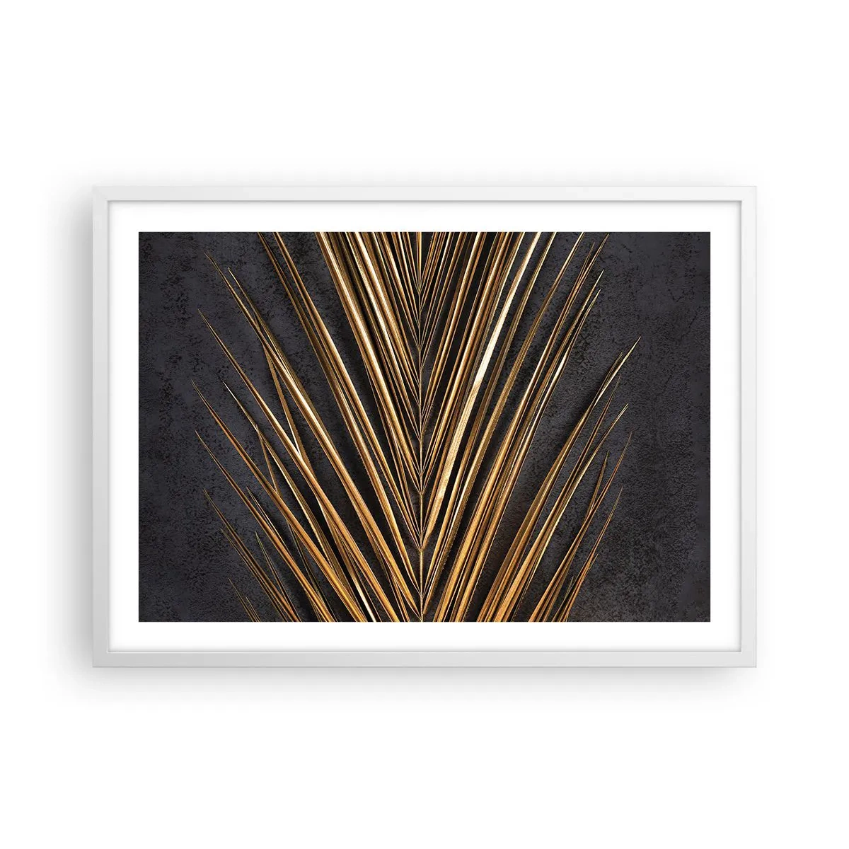 Poszter fekete keretben - A trópusok aranya - 70x50 cm