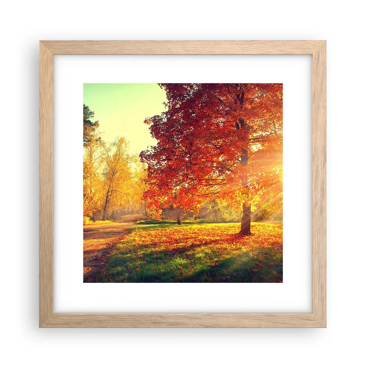 Poszter világos tölgy keretben - A vörös gyönyörű - 30x30 cm