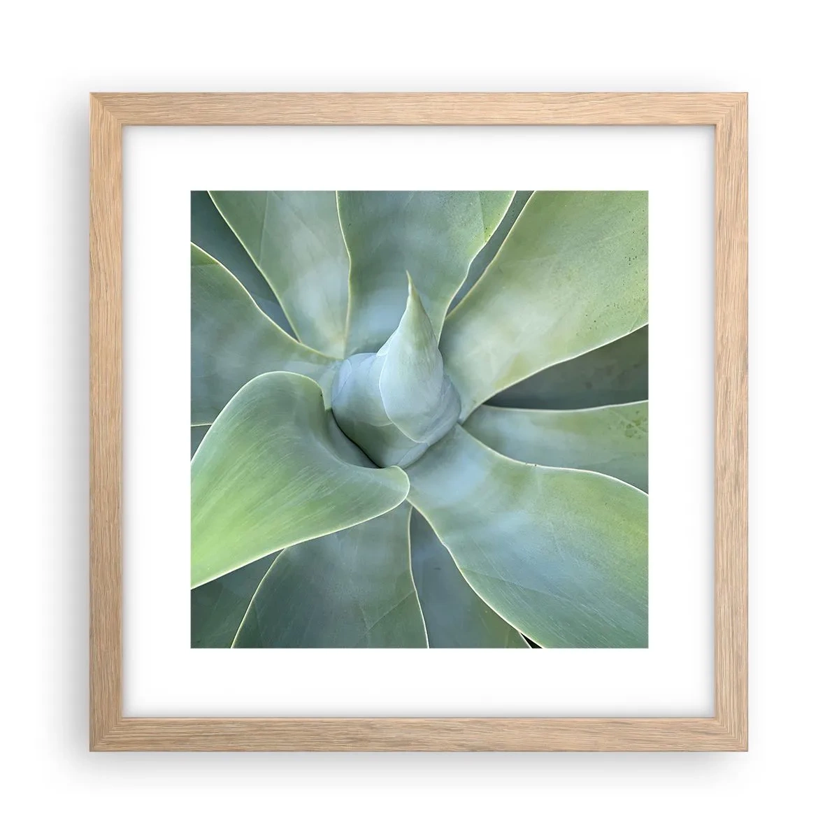 Poszter világos tölgy keretben - A zöld születése - 30x30 cm