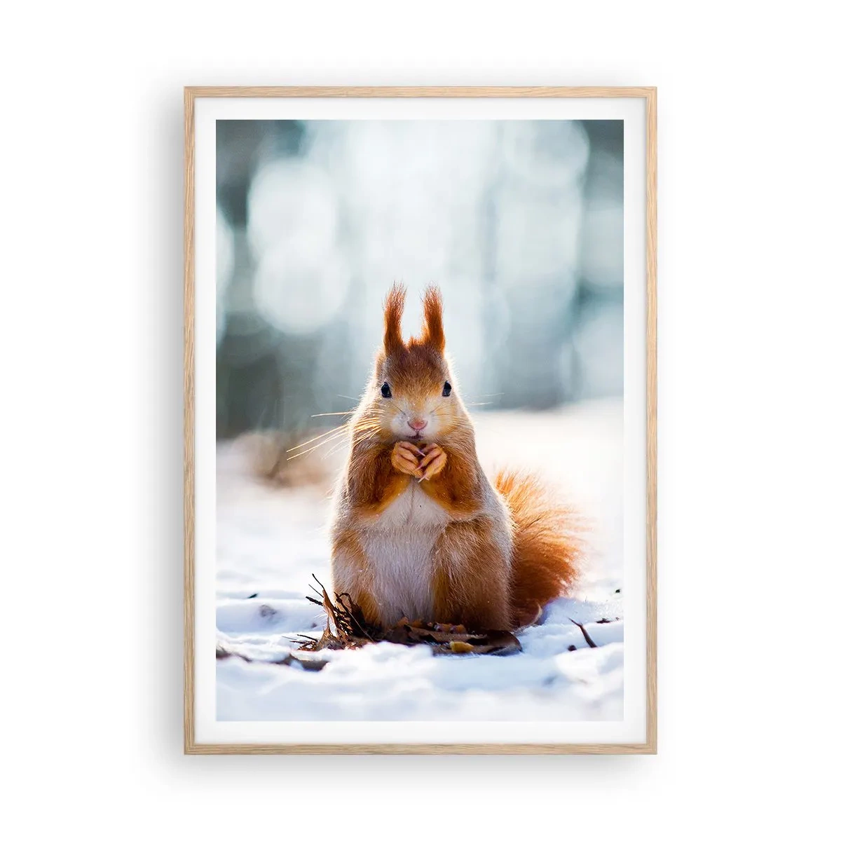 Poszter világos tölgy keretben - Mit nézel? - 70x100 cm