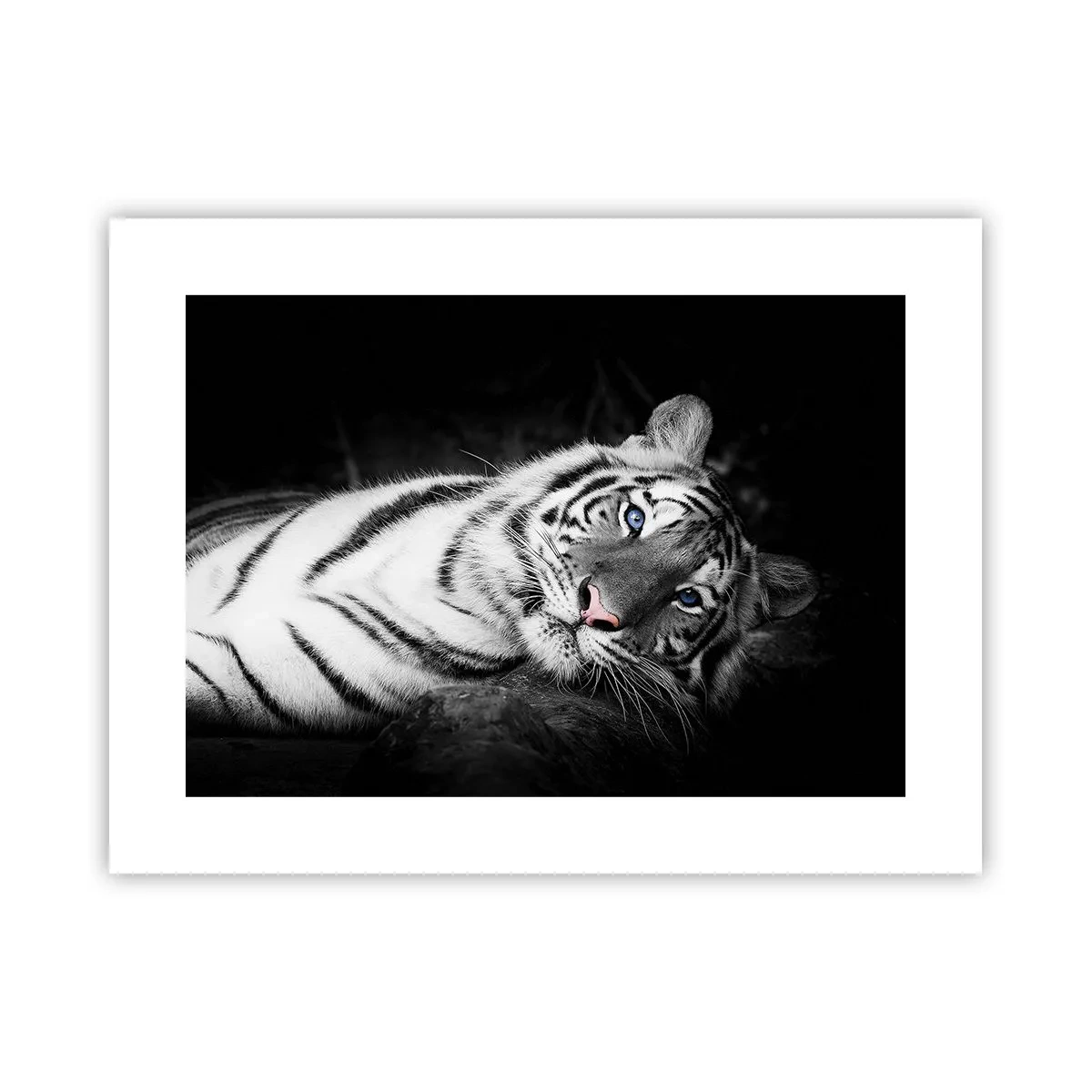 Poszter - Vadság és nyugalom - 40x30 cm