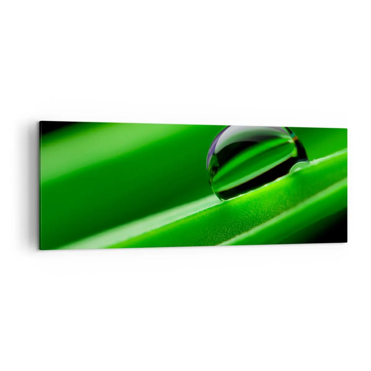 Vászonkép - Élet közelről - 140x50 cm