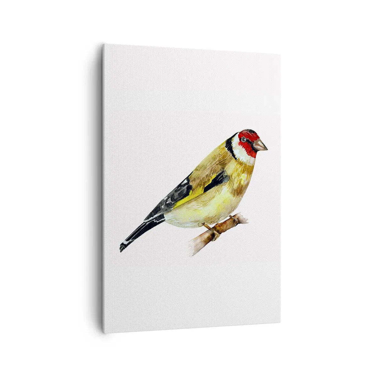 Vászonkép - Madárportré - 70x100 cm