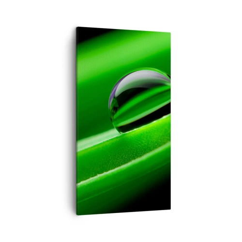 Vászonkép - Élet közelről - 45x80 cm