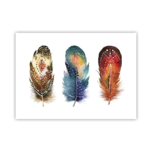 Poszter - Rítusok, szertartások, titkok - 70x50 cm