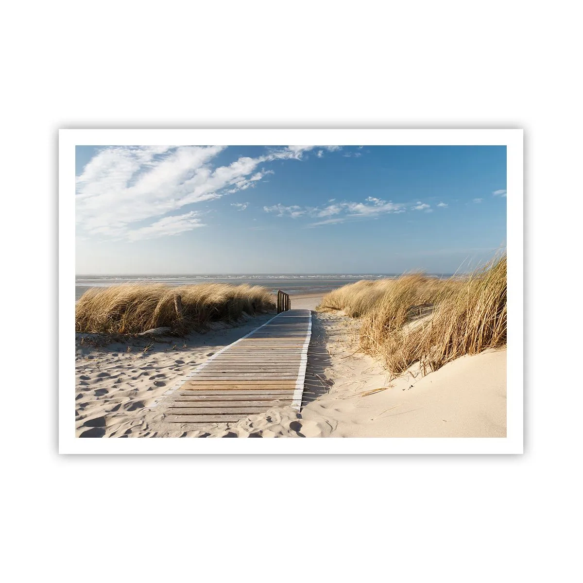 Poszter - A dűne mögött, a fű susogásában - 100x70 cm