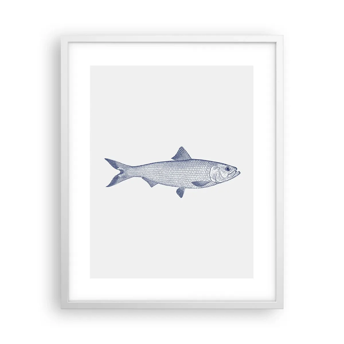 Poszter fekete keretben - Üdvözlet az északi tengerektől - 40x50 cm