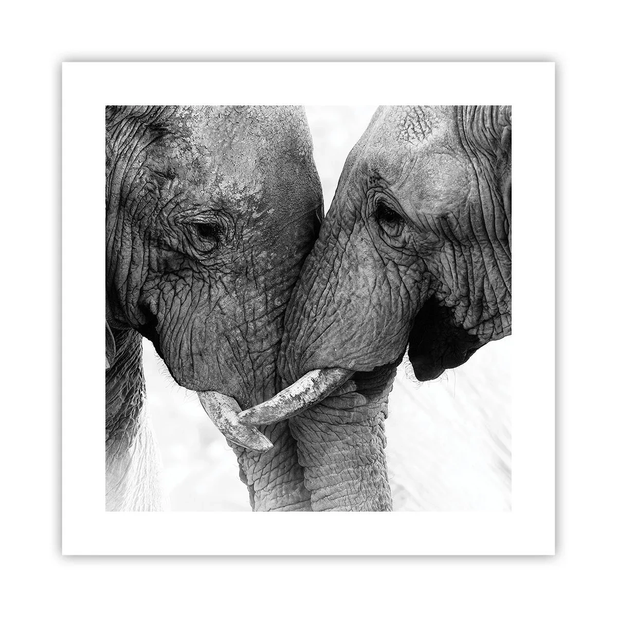 Poszter - Szívélyes vallomás - 40x40 cm