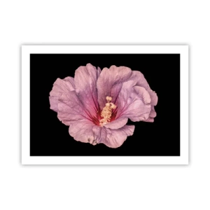 Poszter - Egyenesen a szív felé - 70x50 cm