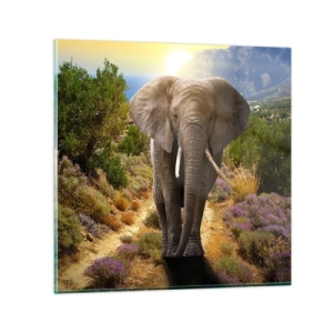 Üveg kép - Így nézett ki Eden - 30x30 cm