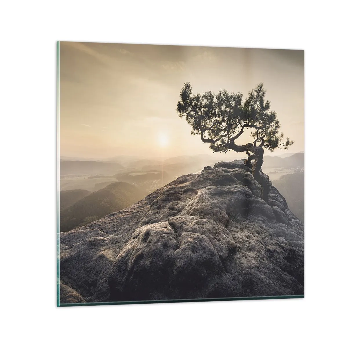 Üveg kép - Az élet mindig győz - 70x70 cm