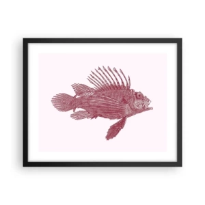 Poszter fehér keretben - Egzotikus vizek lakója - 50x40 cm