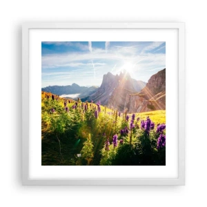 Poszter fekete keretben - A gyógynövények titkos élete - 40x40 cm