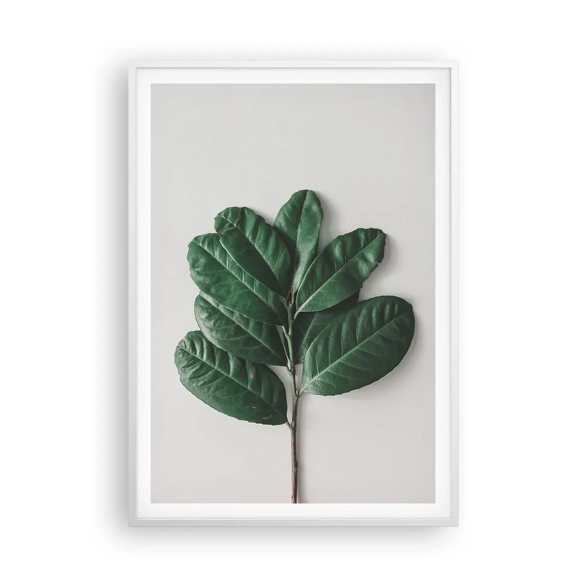 Poszter fekete keretben - Rajz csak a természetről - 70x100 cm