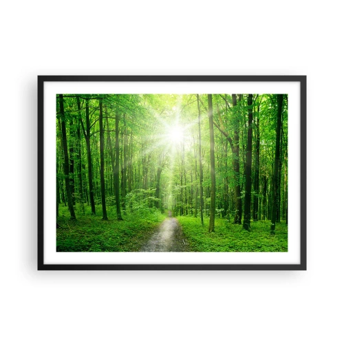 Poszter fehér keretben - A zöld katedrális - 70x50 cm