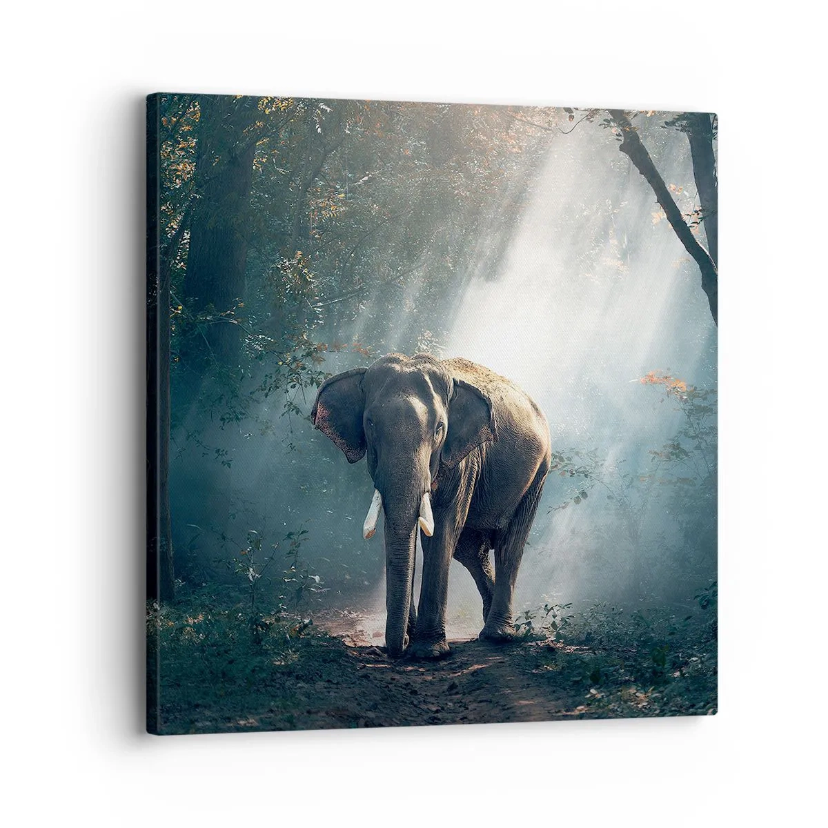 Vászonkép - Nyugodt séta - 30x30 cm