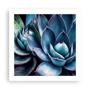 Poszter - Életerő - 50x50 cm