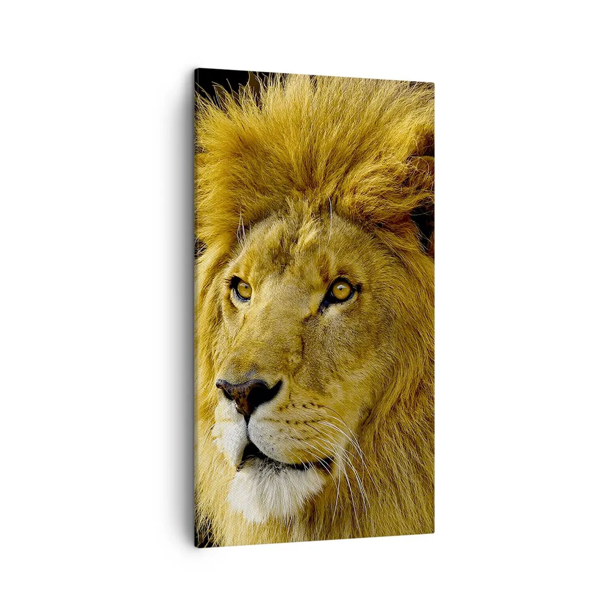 Vászonkép - A király portréja - 45x80 cm