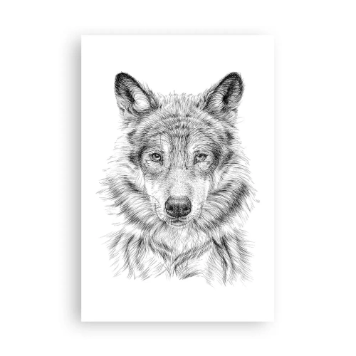 Poszter - Született vezető - 61x91 cm