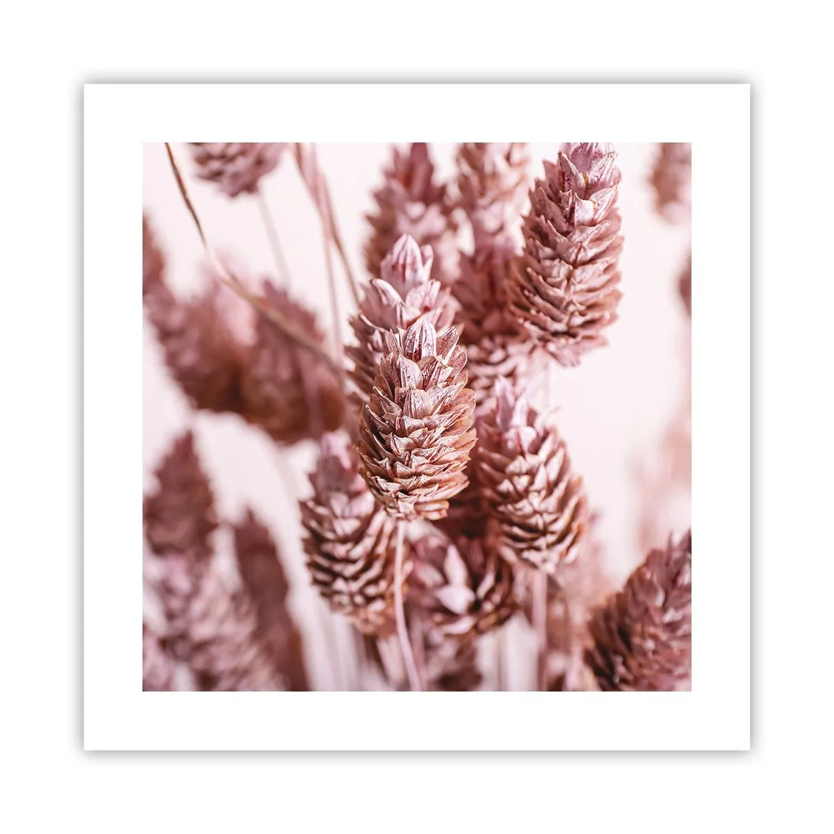 Poszter - Látszólag feltűnő - 40x40 cm