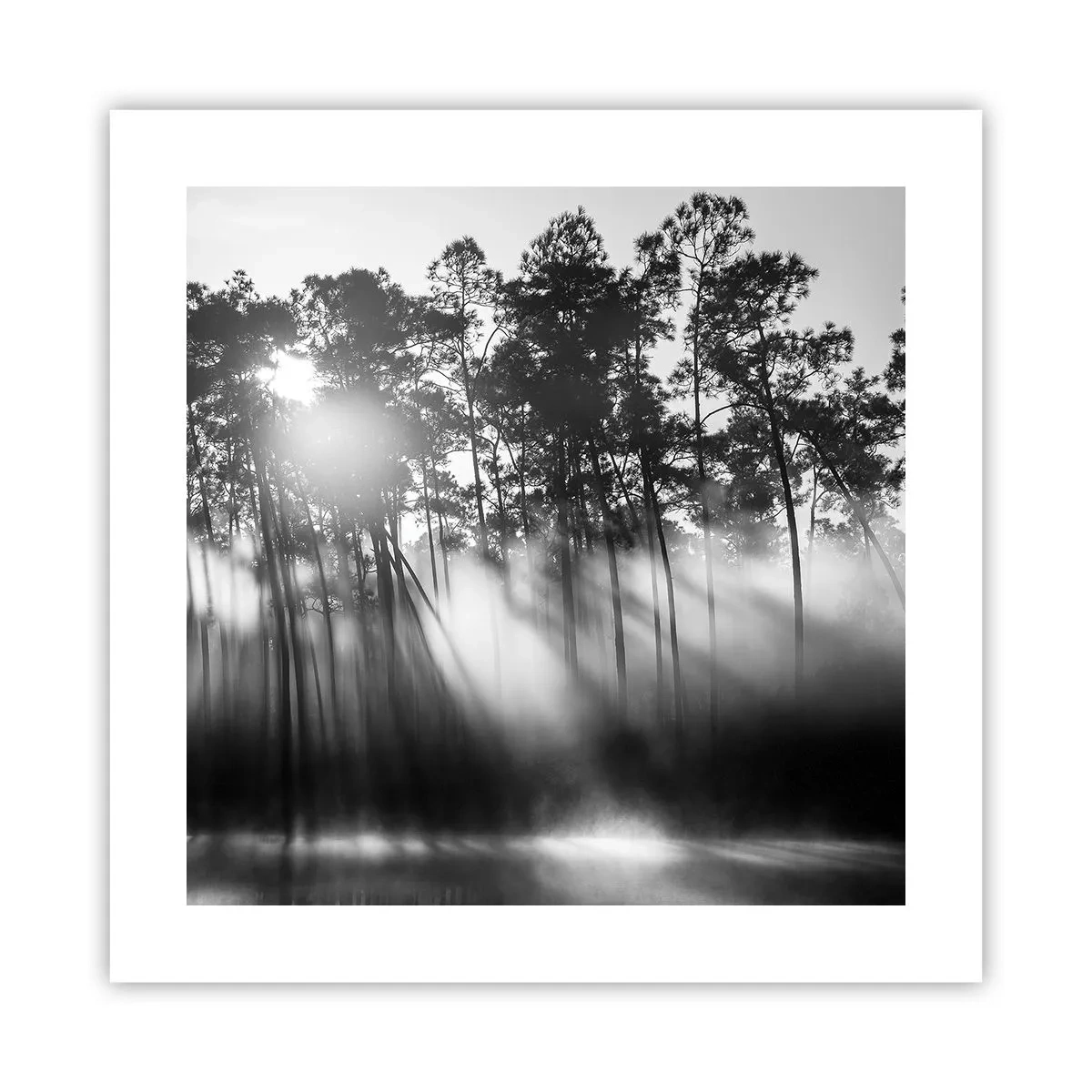 Poszter - Megállíthatatlan nap - 40x40 cm